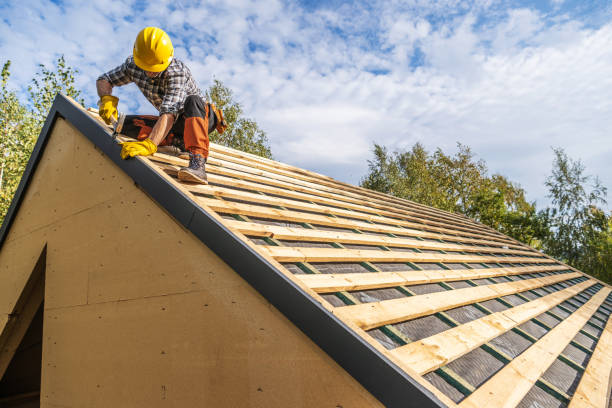 Best Roof Gutter Cleaning  in Groveton, VA